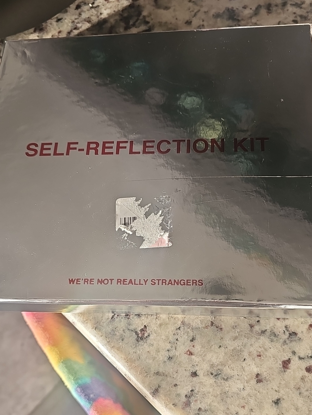 Self-Reflection Kit - Silver